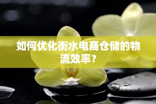 如何优化衡水电商仓储的物流效率？