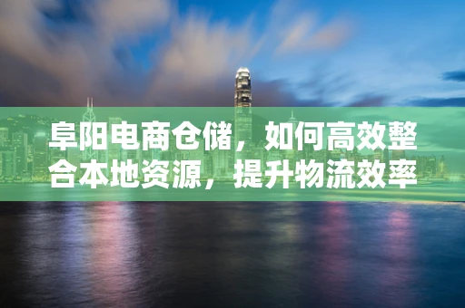阜阳电商仓储，如何高效整合本地资源，提升物流效率？