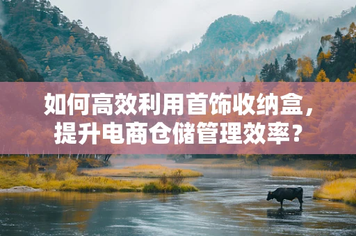 如何高效利用首饰收纳盒，提升电商仓储管理效率？
