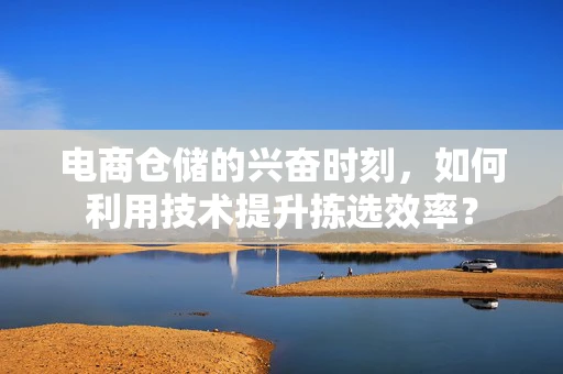 电商仓储的兴奋时刻，如何利用技术提升拣选效率？