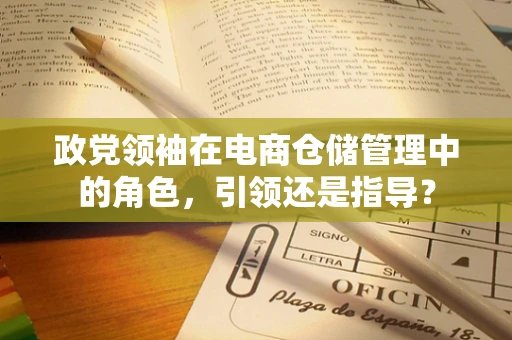 政党领袖在电商仓储管理中的角色，引领还是指导？