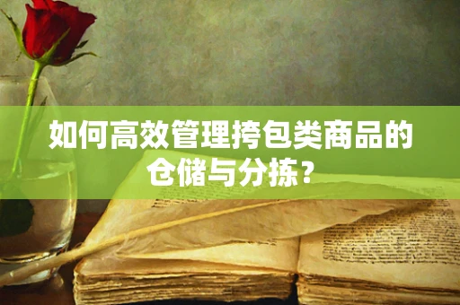 如何高效管理挎包类商品的仓储与分拣？