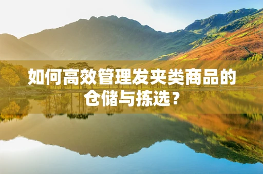 如何高效管理发夹类商品的仓储与拣选？