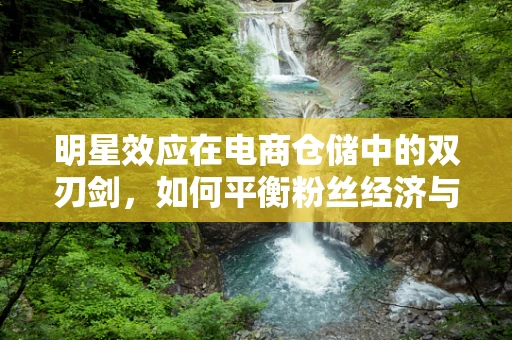 明星效应在电商仓储中的双刃剑，如何平衡粉丝经济与运营效率？