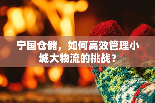 宁国仓储，如何高效管理小城大物流的挑战？