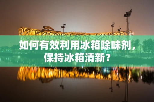 如何有效利用冰箱除味剂，保持冰箱清新？