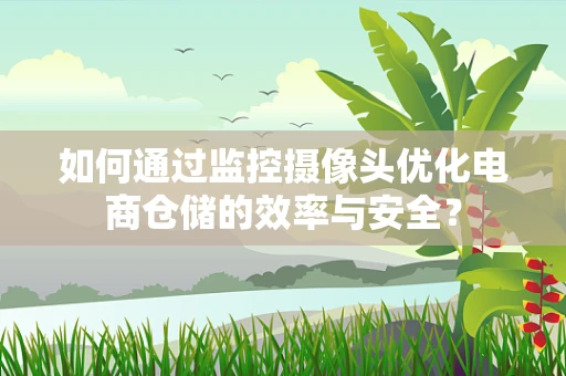 如何通过监控摄像头优化电商仓储的效率与安全？