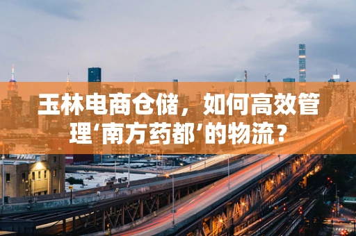 玉林电商仓储，如何高效管理‘南方药都’的物流？