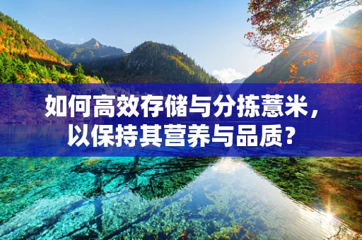 如何高效存储与分拣薏米，以保持其营养与品质？