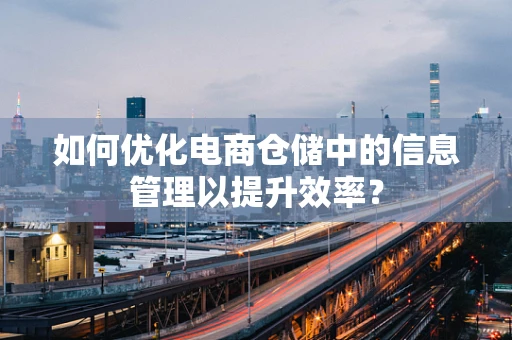 如何优化电商仓储中的信息管理以提升效率？