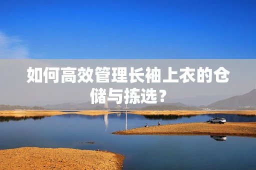 如何高效管理长袖上衣的仓储与拣选？