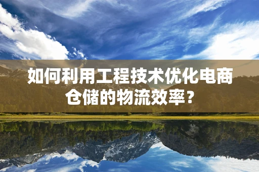 如何利用工程技术优化电商仓储的物流效率？