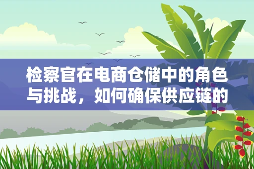 检察官在电商仓储中的角色与挑战，如何确保供应链的合法合规？