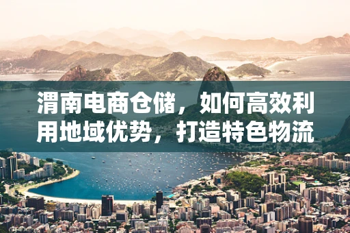 渭南电商仓储，如何高效利用地域优势，打造特色物流网络？