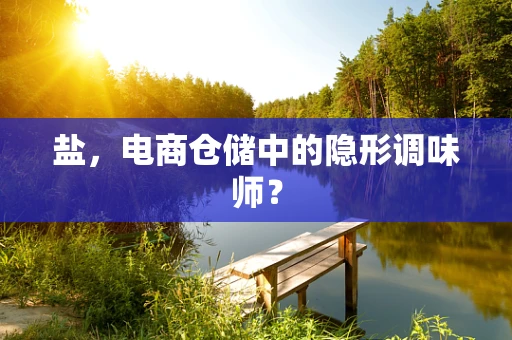 盐，电商仓储中的隐形调味师？