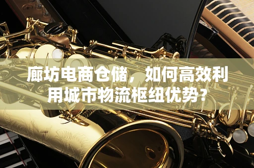 廊坊电商仓储，如何高效利用城市物流枢纽优势？