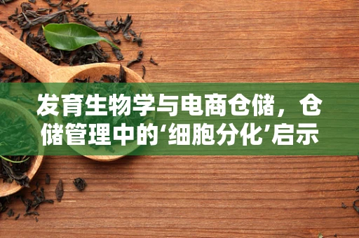 发育生物学与电商仓储，仓储管理中的‘细胞分化’启示