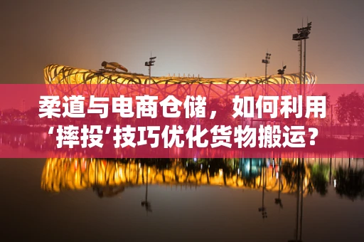柔道与电商仓储，如何利用‘摔投’技巧优化货物搬运？