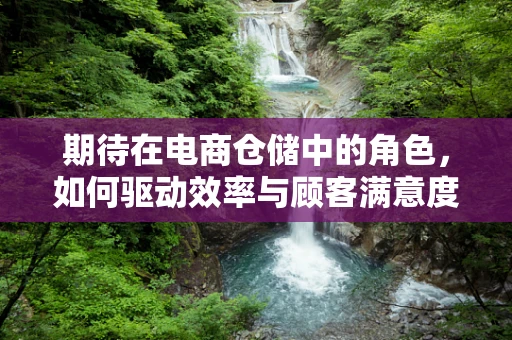 期待在电商仓储中的角色，如何驱动效率与顾客满意度的双赢？
