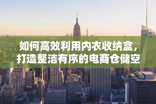 如何高效利用内衣收纳盒，打造整洁有序的电商仓储空间？