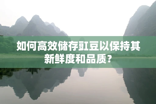 如何高效储存豇豆以保持其新鲜度和品质？