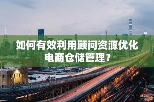 如何有效利用顾问资源优化电商仓储管理？