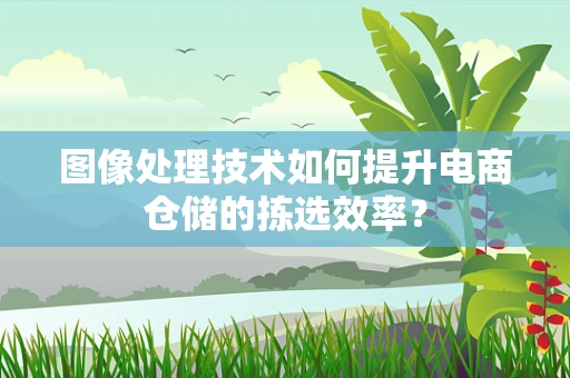 图像处理技术如何提升电商仓储的拣选效率？
