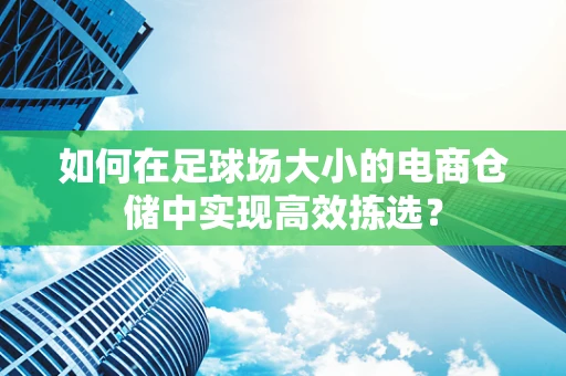 如何在足球场大小的电商仓储中实现高效拣选？