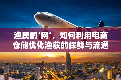 渔民的‘网’，如何利用电商仓储优化渔获的保鲜与流通？