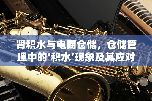 肾积水与电商仓储，仓储管理中的‘积水’现象及其应对策略