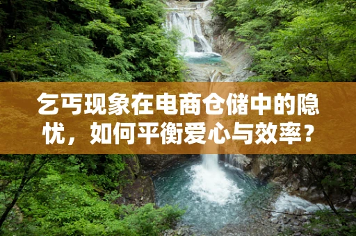乞丐现象在电商仓储中的隐忧，如何平衡爱心与效率？