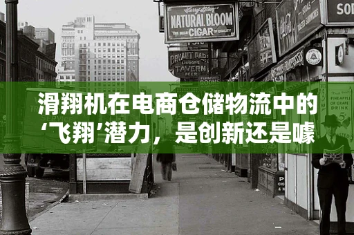 滑翔机在电商仓储物流中的‘飞翔’潜力，是创新还是噱头？