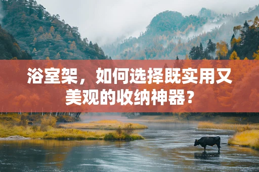 浴室架，如何选择既实用又美观的收纳神器？