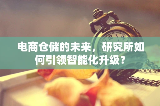 电商仓储的未来，研究所如何引领智能化升级？
