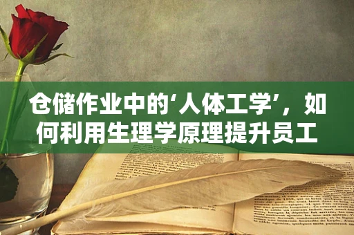仓储作业中的‘人体工学’，如何利用生理学原理提升员工效率？