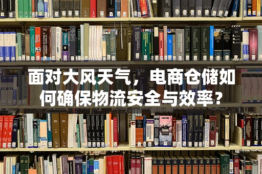 面对大风天气，电商仓储如何确保物流安全与效率？