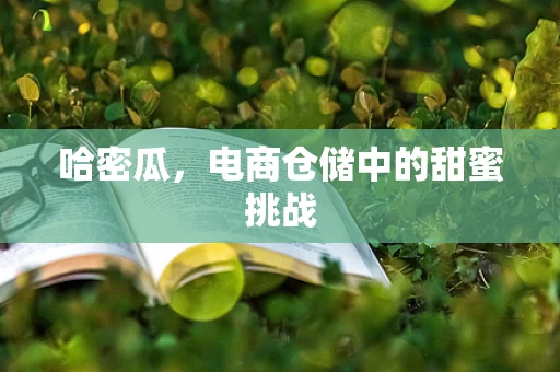 哈密瓜，电商仓储中的甜蜜挑战