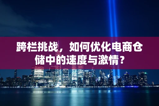 跨栏挑战，如何优化电商仓储中的速度与激情？