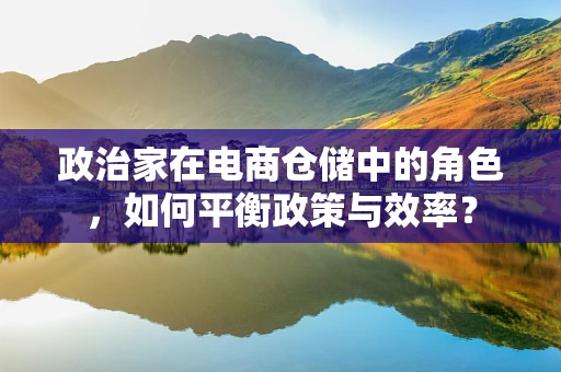 政治家在电商仓储中的角色，如何平衡政策与效率？