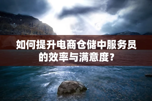 如何提升电商仓储中服务员的效率与满意度？