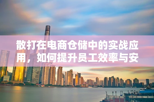 散打在电商仓储中的实战应用，如何提升员工效率与安全？