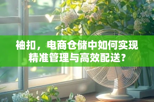 袖扣，电商仓储中如何实现精准管理与高效配送？