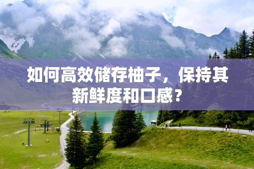如何高效储存柚子，保持其新鲜度和口感？
