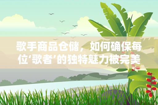 歌手商品仓储，如何确保每位‘歌者’的独特魅力被完美保存？