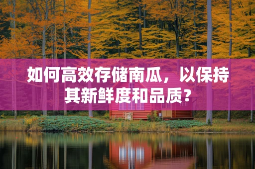 如何高效存储南瓜，以保持其新鲜度和品质？