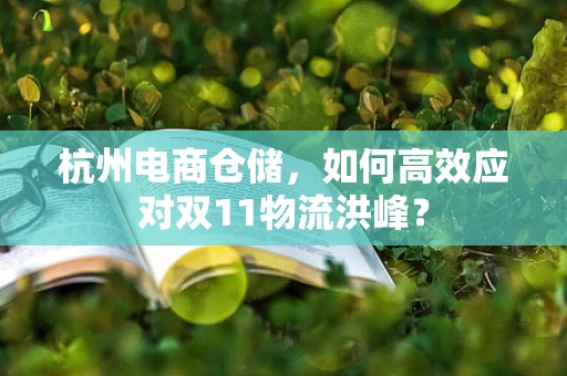 杭州电商仓储，如何高效应对双11物流洪峰？