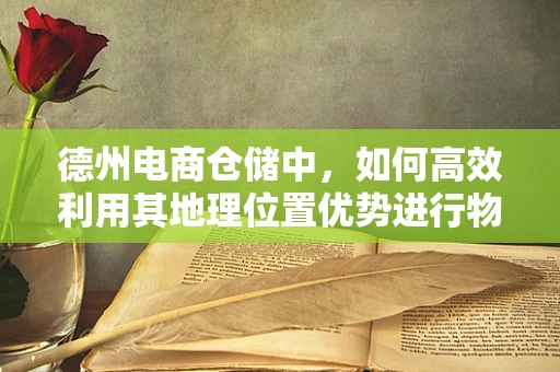 德州电商仓储中，如何高效利用其地理位置优势进行物流优化？