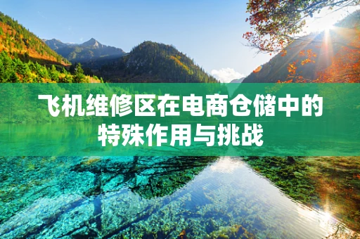 飞机维修区在电商仓储中的特殊作用与挑战