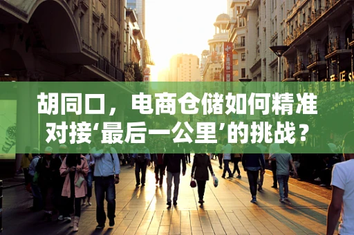 胡同口，电商仓储如何精准对接‘最后一公里’的挑战？