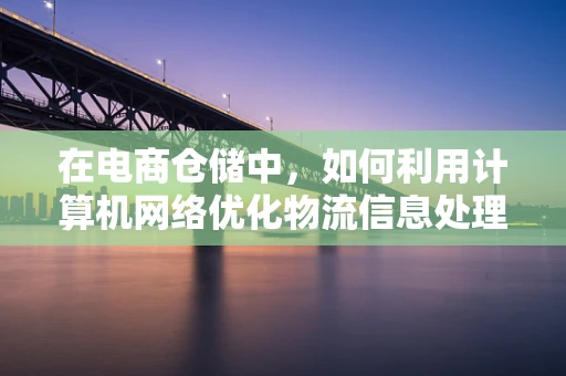 在电商仓储中，如何利用计算机网络优化物流信息处理？